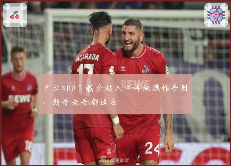 开云app下载全站入口详细操作手册，新手老手都适合