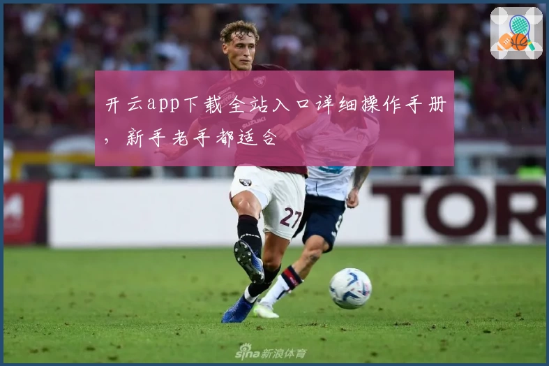 开云app下载全站入口详细操作手册,新手老手都适合